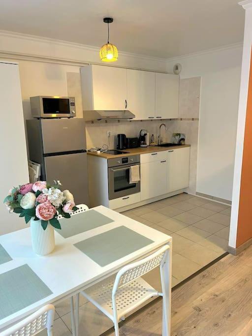 Apartment Grand Studio Proche Centre Strasbourg