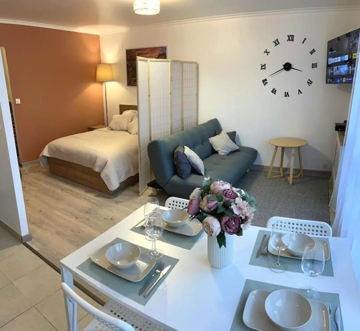 Grand Studio Proche Centre * Strasbourg