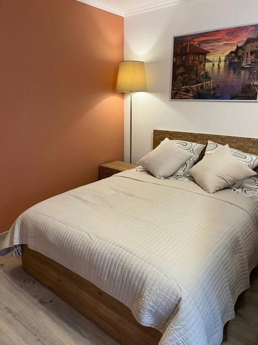 Grand Studio Proche Centre Apartment Strasbourg